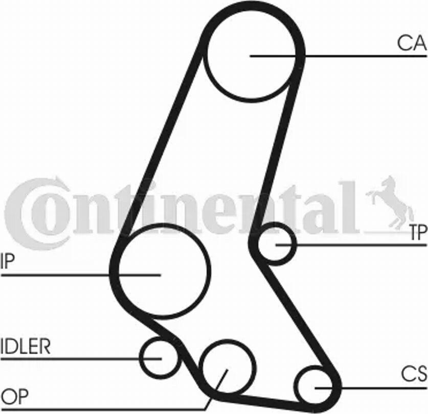 Contitech CT748K5 - --- www.autospares.lv