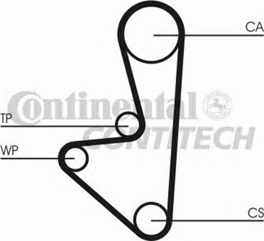 Contitech CT718WP2 - Zobsiksnas komplekts www.autospares.lv