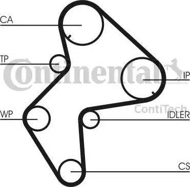 Continental CT772WP1 - Ūdenssūknis + Zobsiksnas komplekts www.autospares.lv