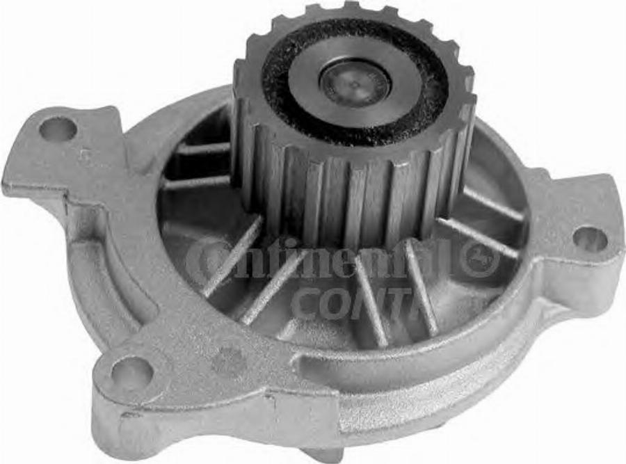 Contitech V 66532 - --- www.autospares.lv