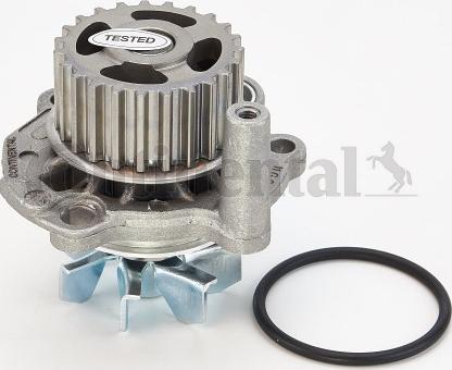 Contitech WP 6041 - Water Pump www.autospares.lv