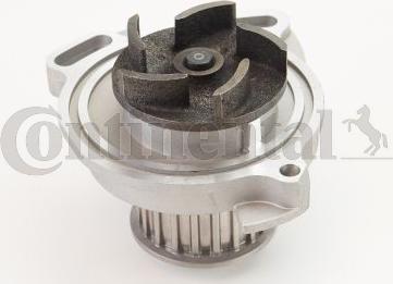 Contitech WP6060 - Water Pump www.autospares.lv