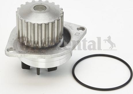 Contitech WP6026 - Water Pump www.autospares.lv