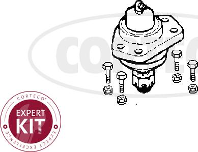 Corteco 49395653 - Шаровая опора, несущий / направляющий шарнир www.autospares.lv