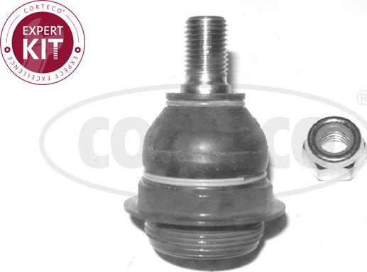 Corteco 49395236 - Ball Joint www.autospares.lv