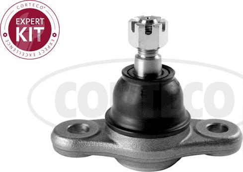 Corteco 49398788 - Ball Joint www.autospares.lv