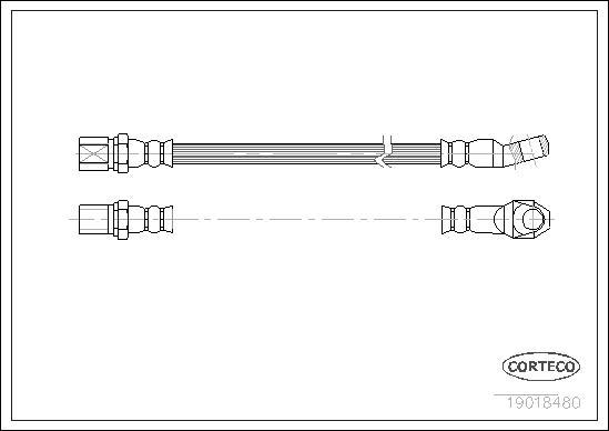 Corteco 19018480 - Bremžu šļūtene www.autospares.lv