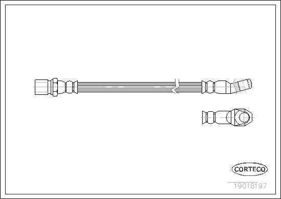 Corteco 19018197 - Bremžu šļūtene www.autospares.lv