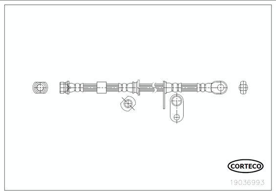 Corteco 19036993 - Bremžu šļūtene www.autospares.lv