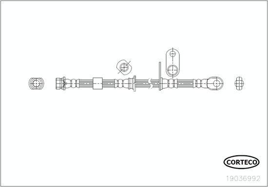 Corteco 19036992 - Bremžu šļūtene www.autospares.lv