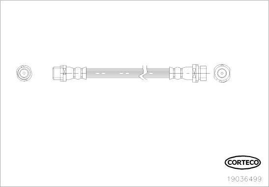 Corteco 19036499 - Bremžu šļūtene www.autospares.lv