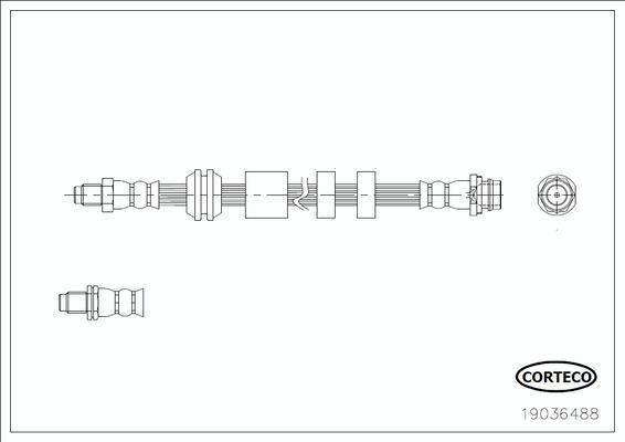 Corteco 19036488 - Bremžu šļūtene www.autospares.lv