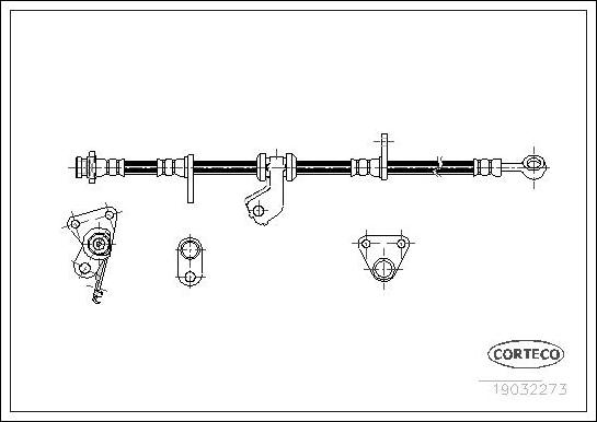 Corteco 19032273 - Bremžu šļūtene www.autospares.lv