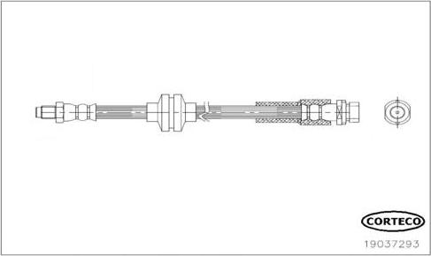 Corteco 19037293 - Bremžu šļūtene www.autospares.lv