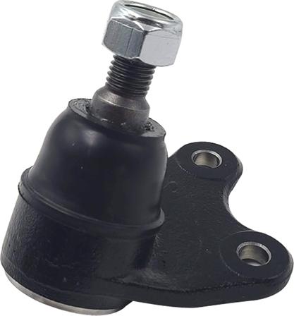 CTR CB0552L - Ball Joint www.autospares.lv