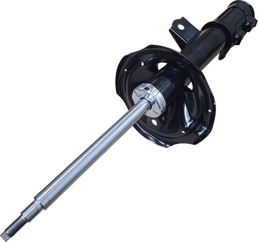 CTR GY0532O - Shock Absorber www.autospares.lv