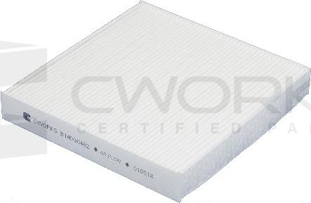 Cworks B140G0462 - Filtrs, Salona telpas gaiss www.autospares.lv