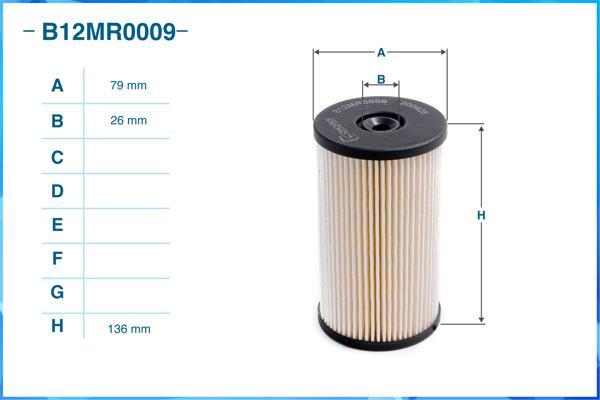 Cworks B12MR0009 - Fuel filter www.autospares.lv