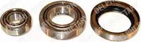 Delphi BK380 - Wheel hub, bearing Kit www.autospares.lv