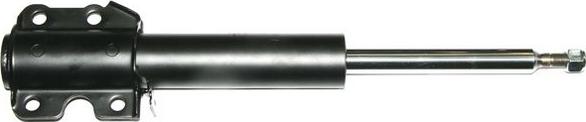 Denckermann DSB003G - Amortizators www.autospares.lv