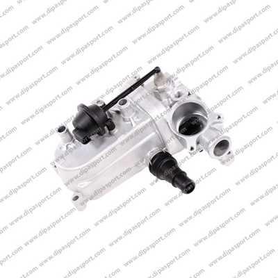 Dipasport EGR100SR - EGR Valve www.autospares.lv