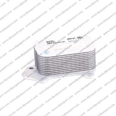 Dipasport RAO142BHRN - Eļļas radiators, Motoreļļa www.autospares.lv