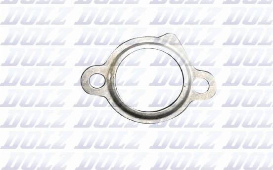 DOLZ 02KCJ021 - Blīve www.autospares.lv