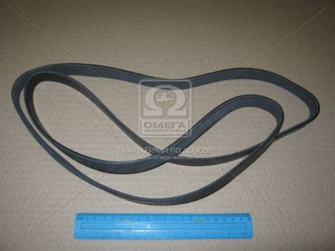 Dongil 6PK1740 - V-Ribbed Belt www.autospares.lv