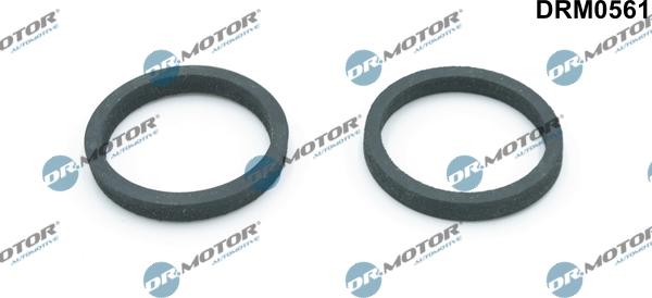 Dr.Motor Automotive DRM0561 - Прокладка, масляный радиатор www.autospares.lv