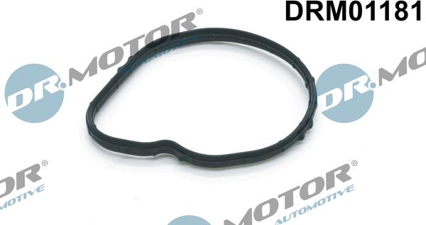 Dr.Motor Automotive DRM01181 - Blīve, Termostats www.autospares.lv