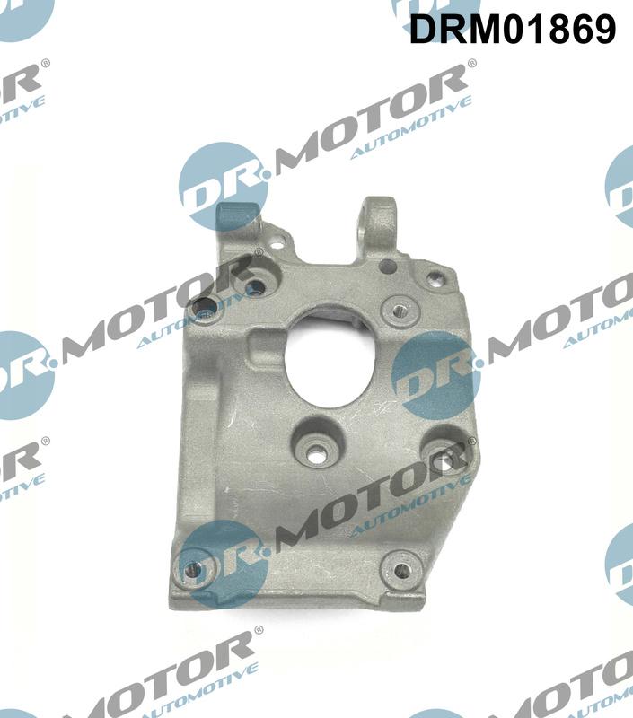 Dr.Motor Automotive DRM01869 - Кронштейн, компрессор www.autospares.lv