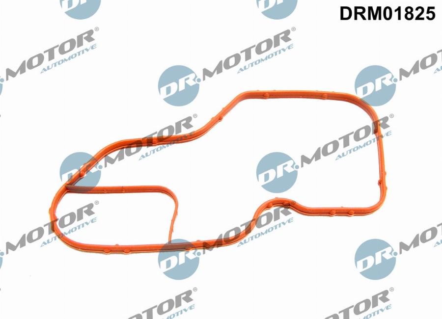 Dr.Motor Automotive DRM01825 - Blīve, Termostata korpuss www.autospares.lv