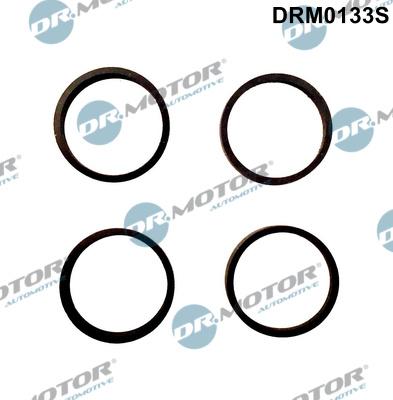 Dr.Motor Automotive DRM0133S - Gasket Set, intake manifold www.autospares.lv