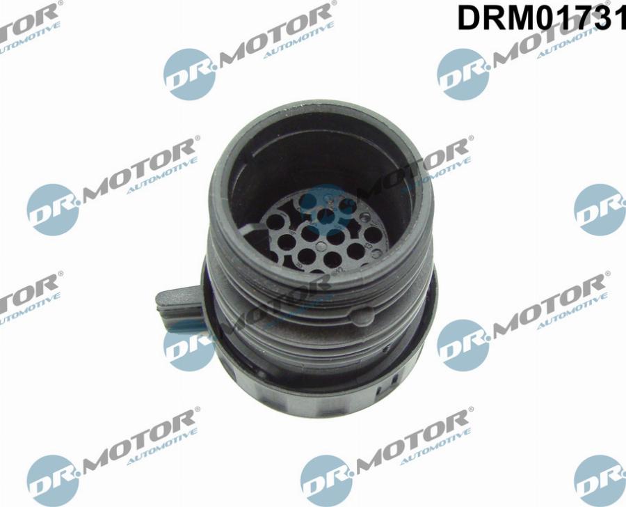 Dr.Motor Automotive DRM01731 - Plug Housing, automatic transmission control unit www.autospares.lv