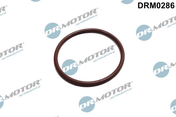 Dr.Motor Automotive DRM0286 - Blīve, Degvielas sūknis www.autospares.lv