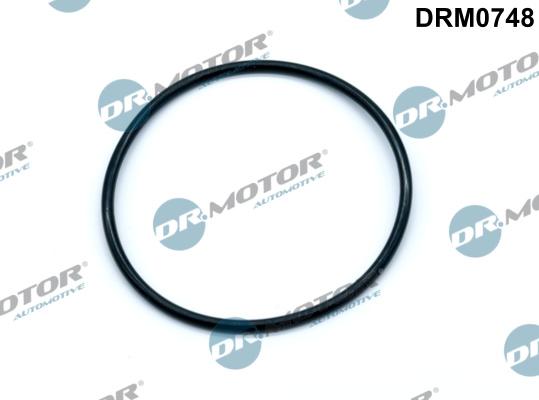 Dr.Motor Automotive DRM0748 - Blīve, Vakuumsūknis www.autospares.lv