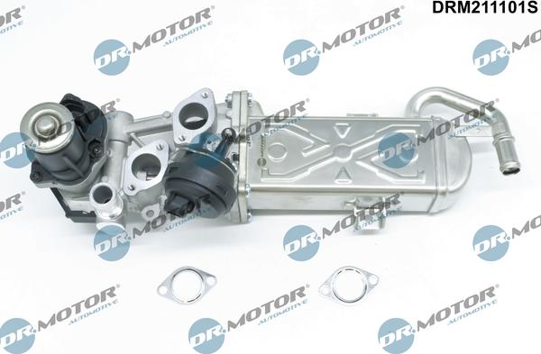 Dr.Motor Automotive DRM211101S - Izpl. gāzu recirkulācijas vārsts www.autospares.lv