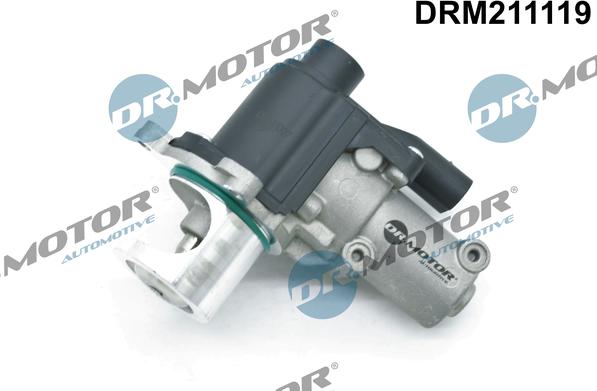 Dr.Motor Automotive DRM211119 - EGR Valve www.autospares.lv