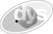 DYS 74-10669 - Piekare, Lokšņu atspere www.autospares.lv