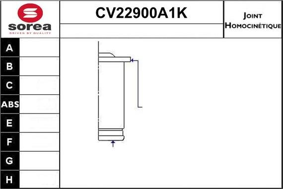 EAI CV22900A1K - Šarnīru komplekts, Piedziņas vārpsta www.autospares.lv