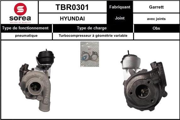 EAI TBR0301 - Kompresors, Turbopūte autospares.lv