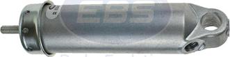 EBS 24.01.2316 - Darba cilindrs www.autospares.lv