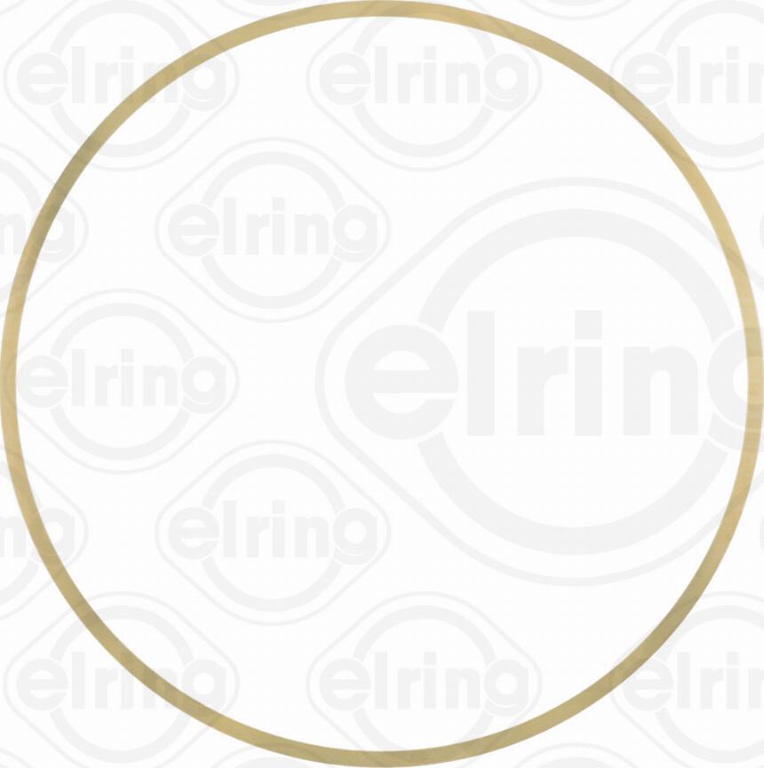 Elring 858.730 - Blīve, Cilindra čaula www.autospares.lv