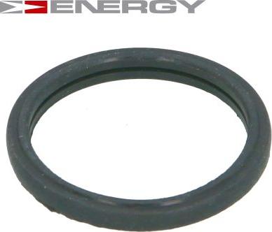 ENERGY 90096383 - Blīve, Termostats www.autospares.lv