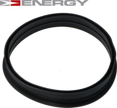 ENERGY G30066 - Модуль топливного насоса www.autospares.lv