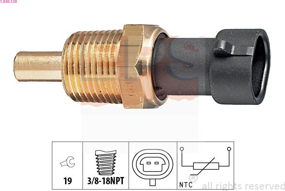 EPS 1.830.129 - Датчик, температура масла www.autospares.lv