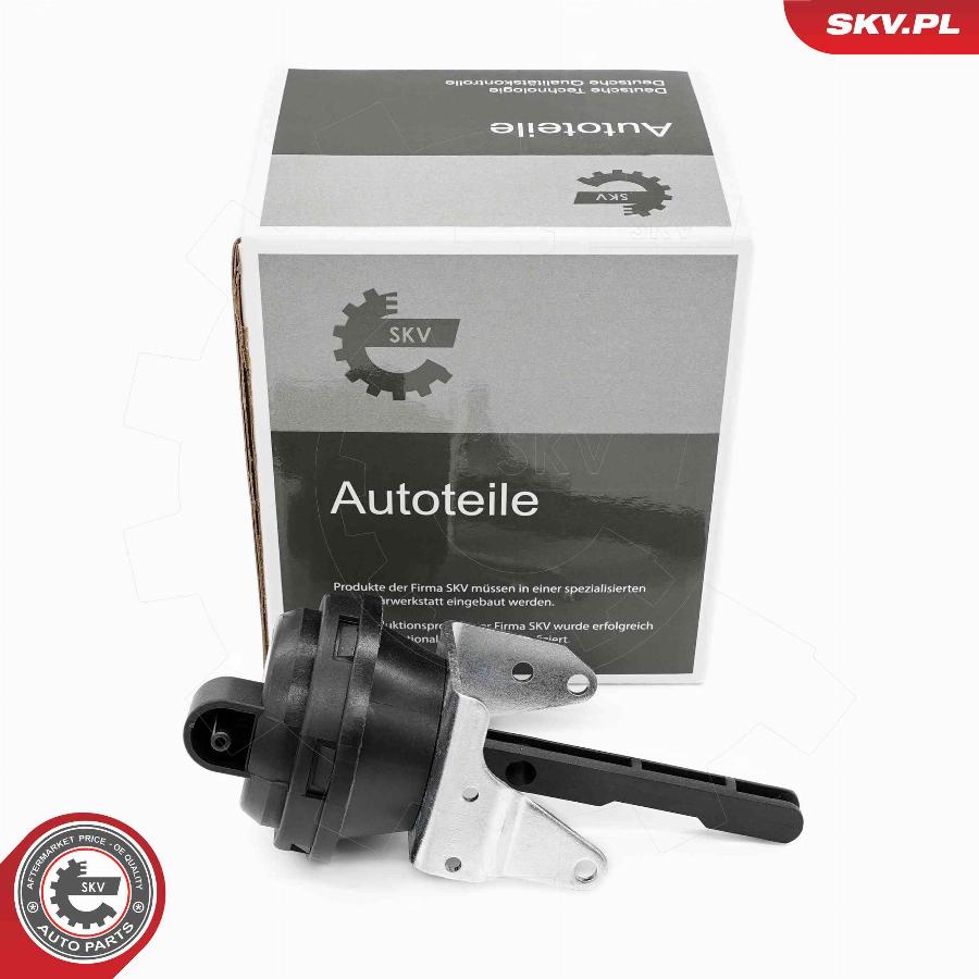 Esen SKV 96SKV407 - Droseļvārsta pievada stiprinājums www.autospares.lv