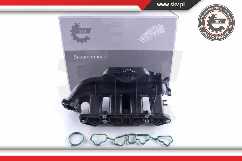 Esen SKV 49SKV058 - Ieplūdes caurules modulis www.autospares.lv