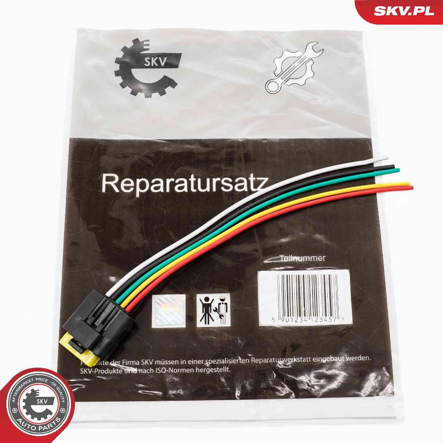 Esen SKV 53SKV179 - Vadu remkomplekts, EGR vārsts www.autospares.lv