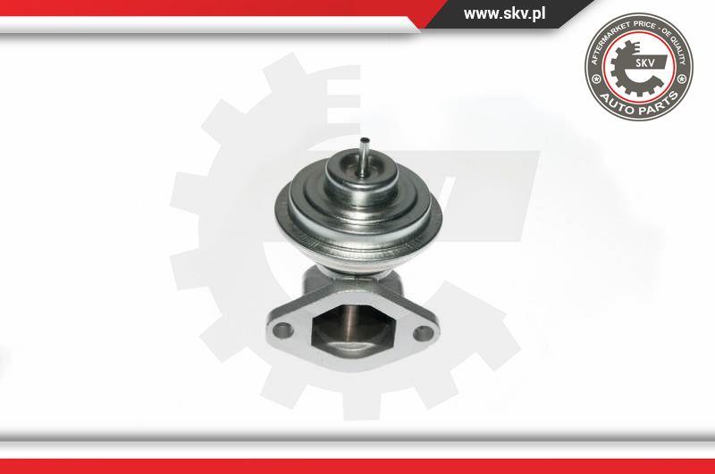 Esen SKV 14SKV049 - Izpl. gāzu recirkulācijas vārsts www.autospares.lv